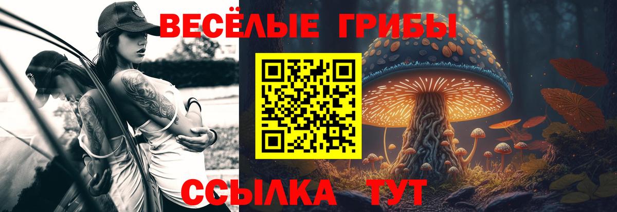 Аргун  Псилоцибиновые грибы Cubensis  Вход с VPN 