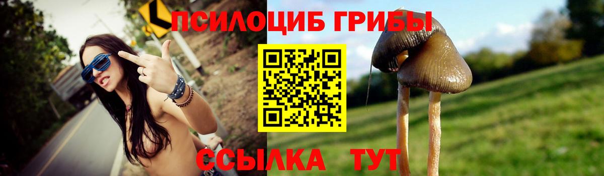 Галлюциногенные грибы Psilocybine cubensis Аргун
